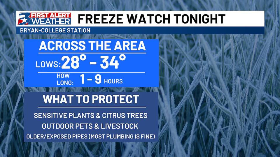 Freeze Watch issued for majority of Brazos Valley MoCo Motive