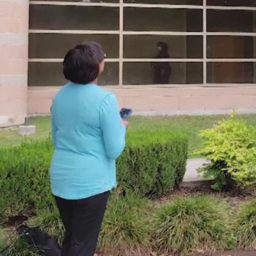 Final goodbye: Woman prayed under husband’s hospital window every day for his final weeks battling COVID-19