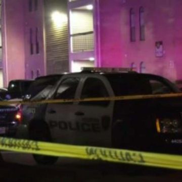 Man fatally shot in back of apartment complex in Alief, police say