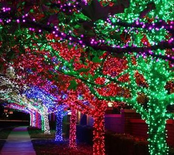 Woodforest Merry & Bright Tour of Lights to Feature 3 Miles of Lights