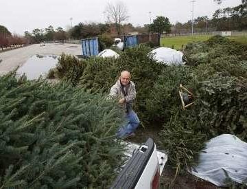 Shenandoah offers tree recycling; food give-away Jan. 9