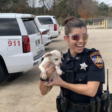 DEPUTY RESCUES PUPPIES