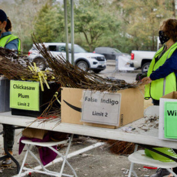 45th Annual Arbor Day Tree Giveaway Drive-Through