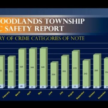 The Woodlands year-end law enforcement report shows most major crimes down; assault, fraud rose in 2020