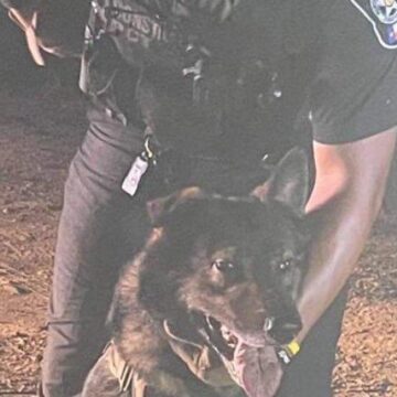 Montgomery County, Pct. 4 Constable Kenneth “Rowdy” Hayden – Wanted Felon Apprehended by K9 Kodiak