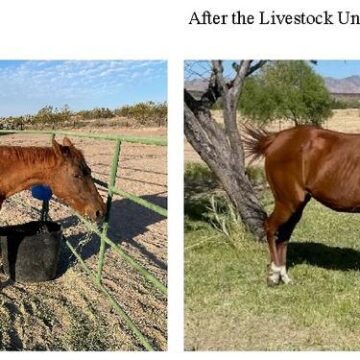 MCTX Sheriff Announces Our Livestock Unit’s New Service