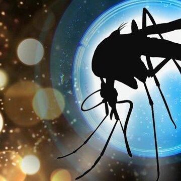 Two mosquito samples test positive for West Nile virus in Woodlands area