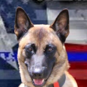 MONTGOMERY COUNTY PRECINCT 5 ADDS NEW K-9