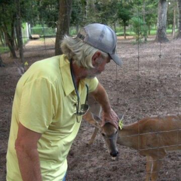 DOG ATTACK KILLS TWO DOZEN DEER AT GAME RANCH NEAR PORTER