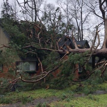 Viewers share storm damage photos after severe weather rolls through Houston area