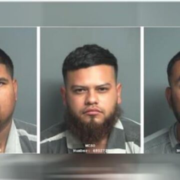 3 men charged after 17 live, 8 dead roosters, 6 live chicks seized during cockfighting ring bust at Montgomery Co. home, deputies say