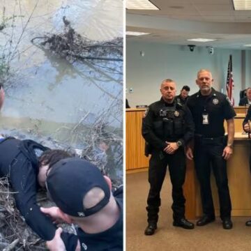 First responders awarded after saving suspect who landed neck-deep in water during pursuit in San Jacinto River