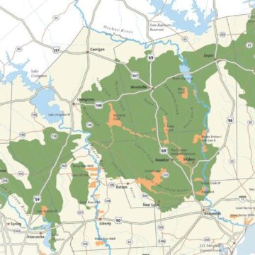 Babin says he would support expansion of the Big Thicket – only if constituents want it