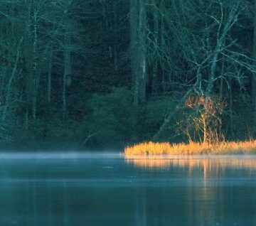 Huntsville State Park closes through Saturday due to flooding