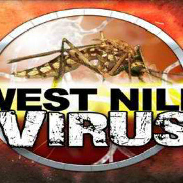 West Nile Reported In Texas