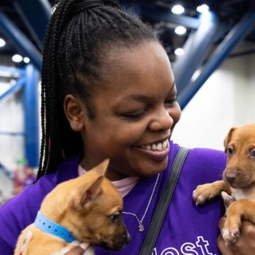 Head Down To The Petco Love Mega Adoption Event This Weekend