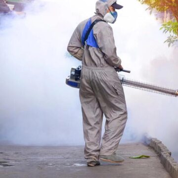 Texas Faces Deadly Double Threat: West Nile Confirmed as Global Dengue Crisis Looms!