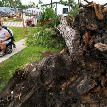 After widespread damage from windstorms, Houston residents worry about hazardous trees in yards