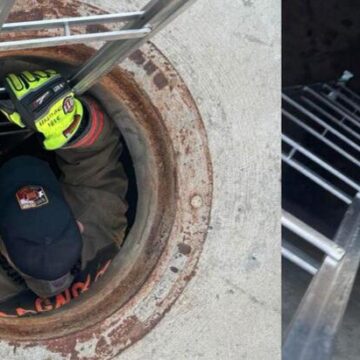 Firefighters rescue cat from storm drain in Magnolia