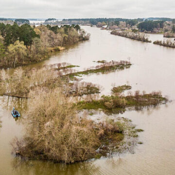 Fishery Spotlight: Lake Conroe set to impress for Stage 1